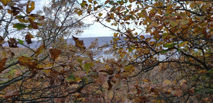 View into the Valley below
