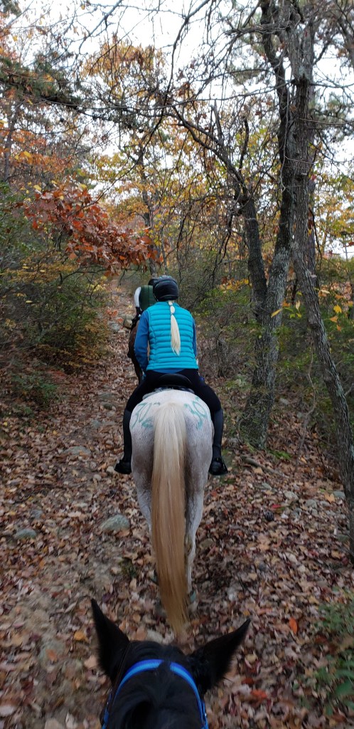 Climbing the mountain
