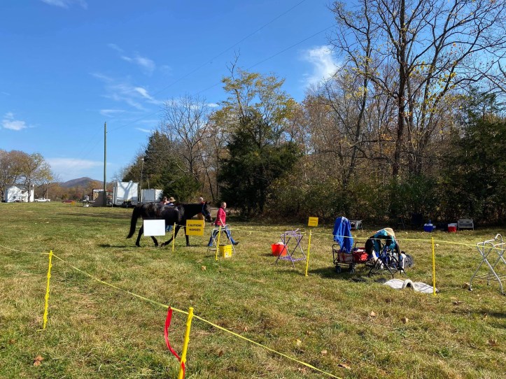 Passed Vet Check, back to food!